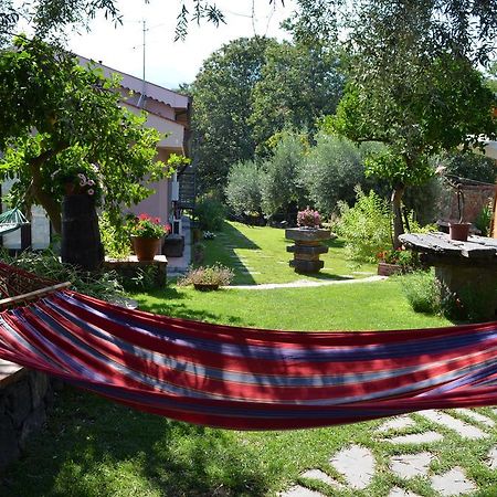 Le Case Di Bacco Santa Venerina Cameră foto