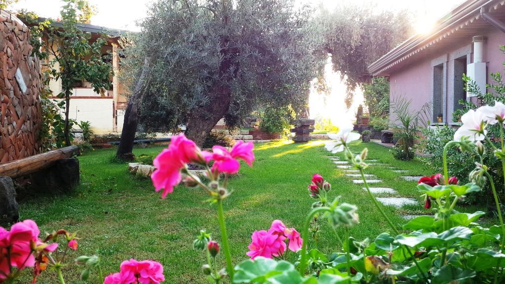 Le Case Di Bacco Santa Venerina Cameră foto